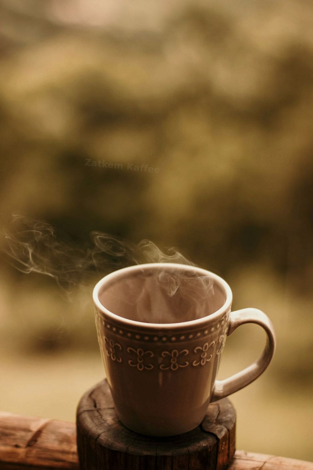 Filterkaffee neu entdecken: Tipps für mehr Aroma im Alltag