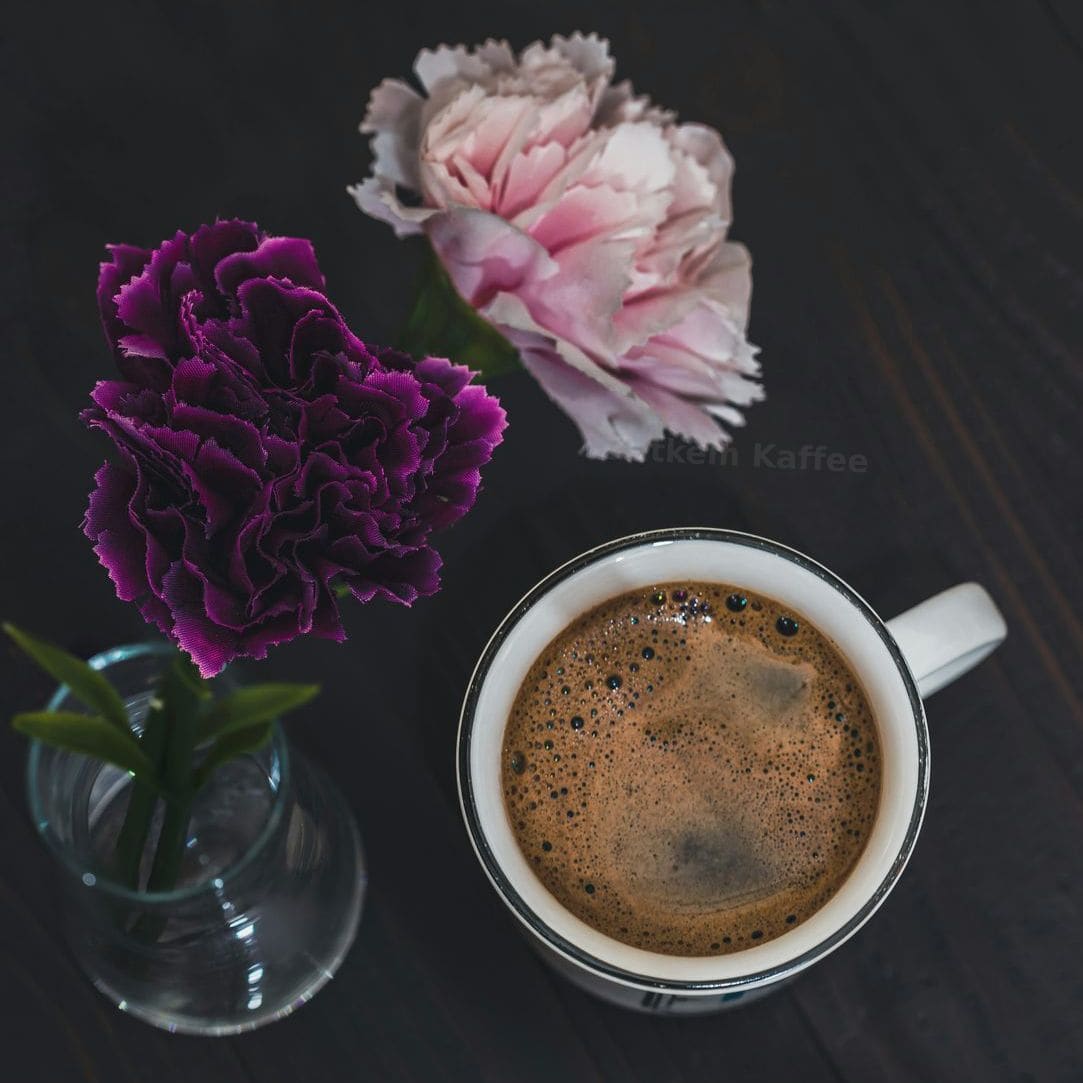 Zatkem Kaffee 8
